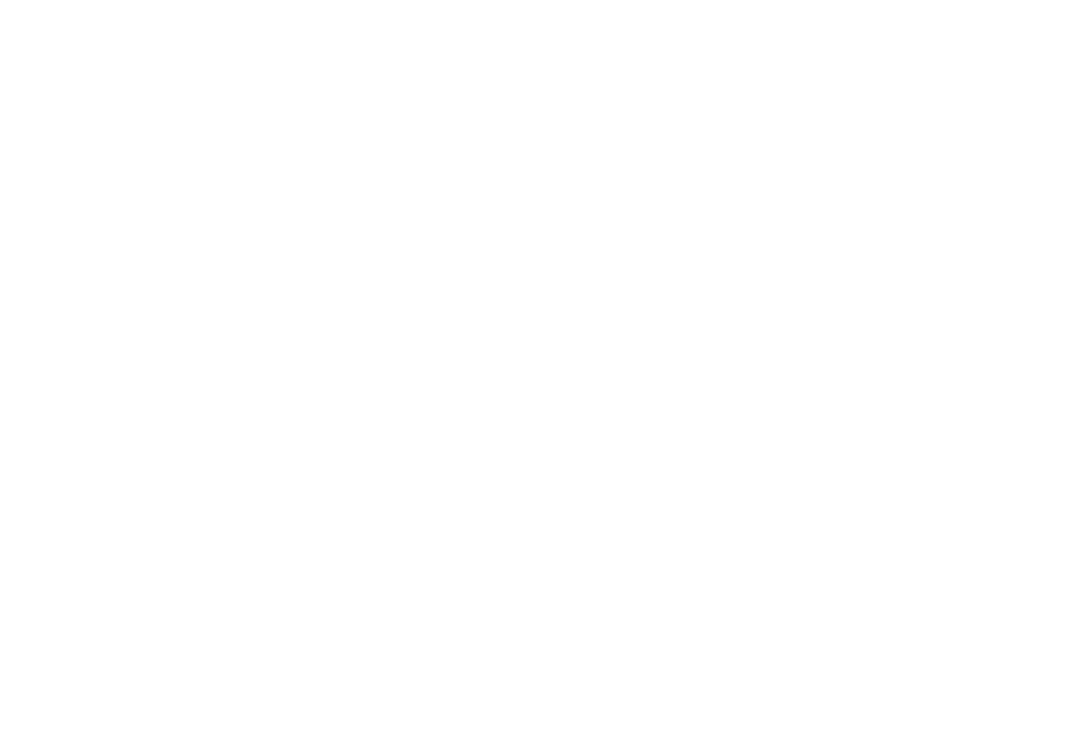 The Vinyl Archivist