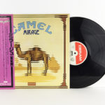 camel